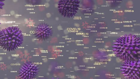 Animation-Von-Covid-19-über-Weißem-Virus-Und-Vireninformationen-Geschrieben