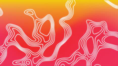 Animation-of-white-lines-moving-over-an-orange-and-pink-background