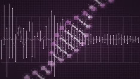 Animation-of-DNA-strain-spinning-with-sound-waves-going-up-and-down-on-purple-background