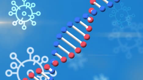 Animation-Des-Sich-Drehenden-DNA-Stammes-Mit-Makro-Covid19-Zellsymbolen,-Die-Auf-Blauem-Hintergrund-Schweben