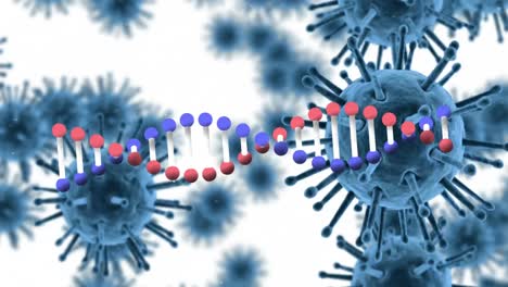 Animation-Schwebender-Makro-Covid-19-Zellen-Und-Sich-Im-Kreis-Drehender-DNA-Stamm-Auf-Weißem-Hintergrund