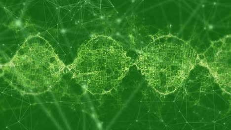 Animation-of-web-of-connections-and-DNA-strain-made-of-connections-on-green-background