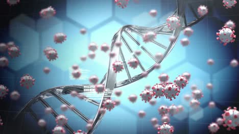 Animation-Von-Makro-Coronavirus-Covid-19-Zellen,-Die-Sich-über-DNA-Ausbreiten