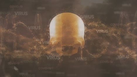 Animation-of-VIRUS-and-COVID-19-words-over-a-golden-dead-skull-head-spinning