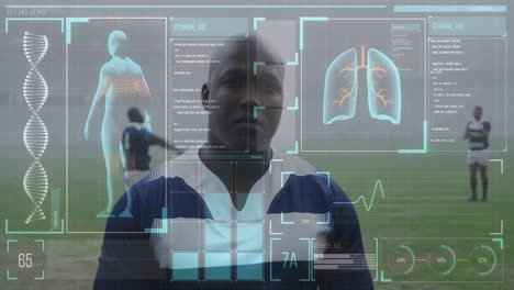 Animation-of-human-body-data-and-statistics-over-African-American-male-rugby-player