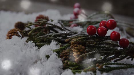 Weihnachtsbaum-Mit-Auf-Schnee-Gefallenen-Kirschen