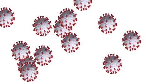 Animation-of-multiple-cells-of-coronavirus-spending-on-white-background-