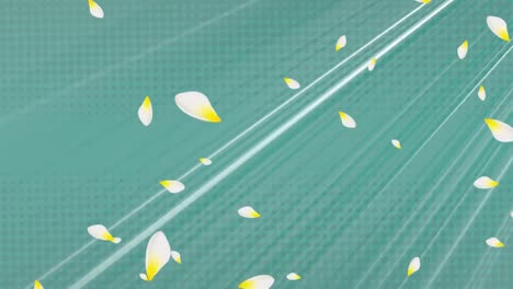 Animation-of-white-and-yellow-petals-falling-over-stripes-moving-in-seamless-loop