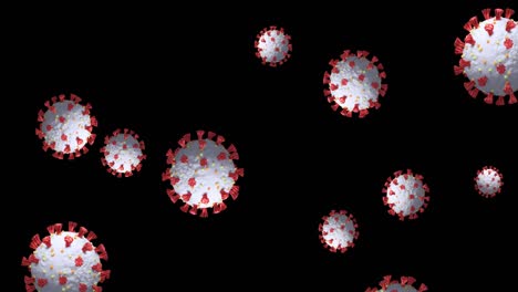 Animation-of-Coronavirus-cells-spinning-on-black-background