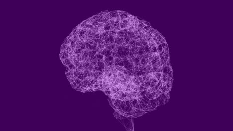Cerebro-Humano-Hecho-De-Red-De-Conexiones-Contra-Fondo-Púrpura
