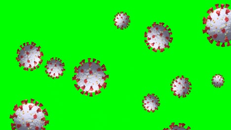 Animation-of-Coronavirus-cells-spinning-on-green-screen