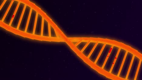 Animation-of-DNA-structure-against-black-background