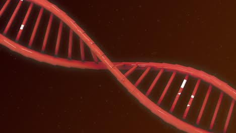 Animation-of-DNA-structure-against-red-background