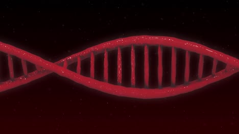 Animation-of-DNA-structure-against-black-background