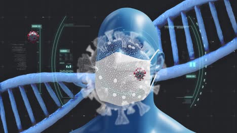 Animation-Des-DNA-Strangs,-Der-Sich-Mit-Covid-19-Zellen-Dreht,-Menschliches-Modell-Mit-Gesichtsmaske-Auf-Dunklem-Hintergrund