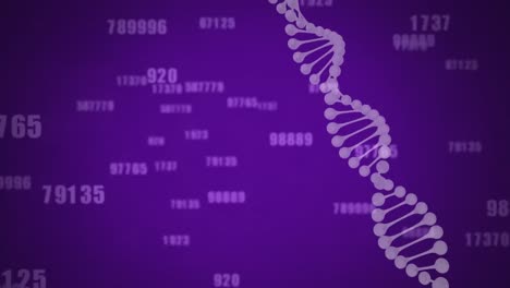 DNA-structure-against-multiple-numbers-changing-on-purple-background