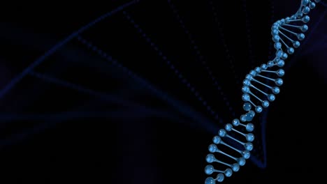 DNA-structure-spinning-against-blue-background