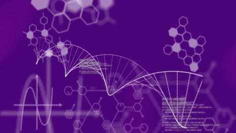 DNA-structure-forming-against-medical-data-processing-on-purple-background