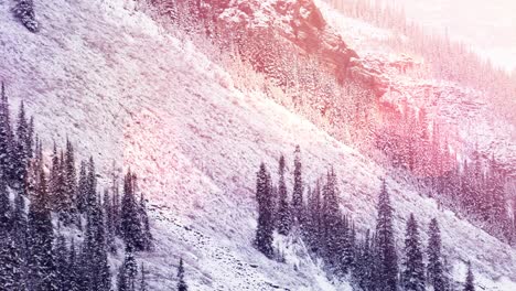 Animation-of-winter-scenery-landscape-with-light-spots-mountains-and-fir-trees-covered-in-snow