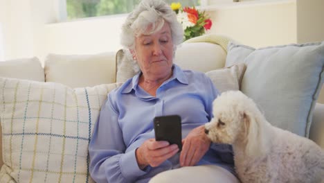 Mujer-Caucásica-Mayor-Usando-Un-Teléfono-Inteligente-Sentada-En-Un-Sofá-En-La-Sala-De-Estar-Con-Su-Perro-Mascota-En-Moti-Lento
