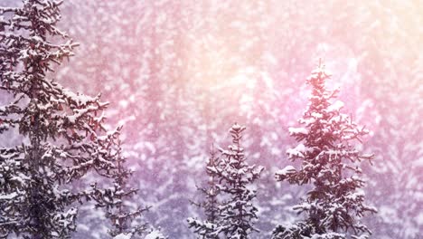 Animation-Einer-Winterlandschaft-Mit-Lichtflecken-Und-Schneebedeckten-Tannen