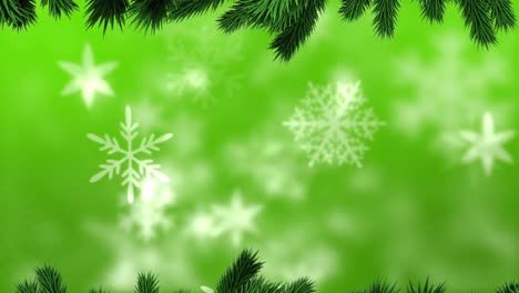 Digitale-Animation-Grüner-Zweige-Vor-Schneeflocken,-Die-Sich-Vor-Grünem-Hintergrund-Bewegen