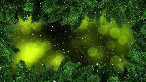Animation-of-snow-falling-with-fir-tree-branches-and-glowing-green-spots-of-light