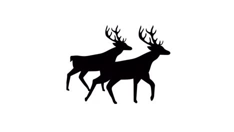 Animation-of-black-silhouette-of-two-reindeer-walking-on-white-background