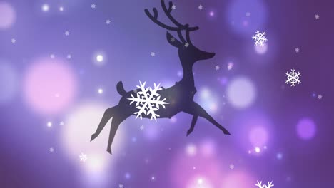 Animation-of-black-silhouette-of-two-reindeer-running-with-snow-falling-and-spots-of-light-on-purple