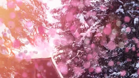 Animation-Von-Leuchtend-Rosa-Lichtflecken-über-Der-Winterlandschaft
