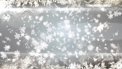 Animation-of-multiple-white-snowflakes-falling-on-grey-background