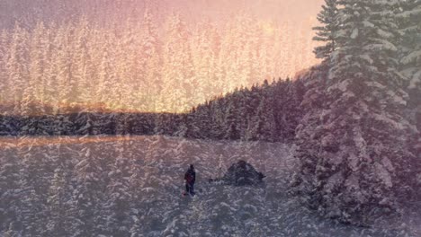 Animation-of-person-in-forest-covered-in-snow-during-winter