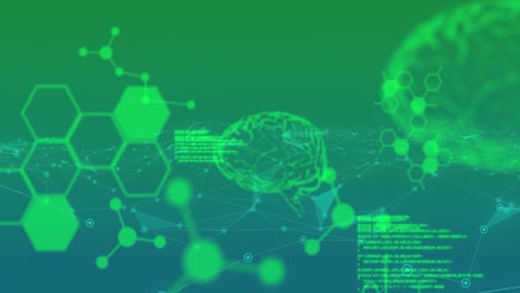 Animation-of-glowing-human-brains-and-hexagons-with-data-processing-on-green-background