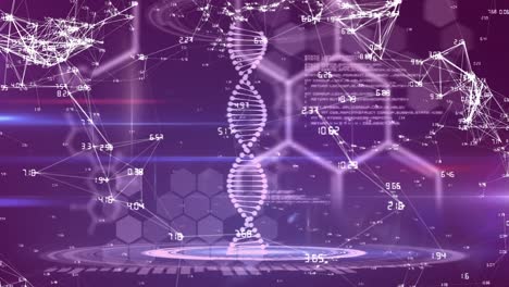 Animation-of-dna-strand,-medical-data-processing-and-chemical-compound-structures-on-purple-backgrou