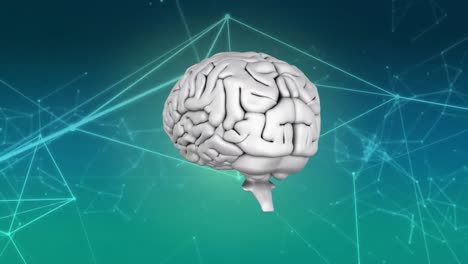Animation-Eines-Menschlichen-3D-Gehirns,-Das-Sich-über-Ein-Netzwerk-Von-Verbindungen-Auf-Blauem-Hintergrund-Dreht