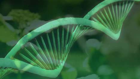 Animation-Eines-3D-grünen-DNA-Strangs,-Der-Sich-über-Pflanzen-Dreht