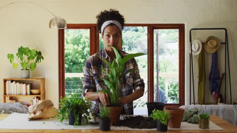 Mixed-race-woman-transplanting-plants-in-pot-at-home