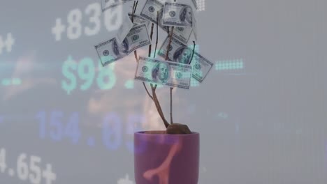 Animation-Der-Finanzdatenverarbeitung-über-Amerikanische-Dollarnoten-In-Einer-Tasse