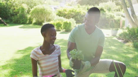 Smiling-african-american-couple-planting-plants-in-sunny-garden