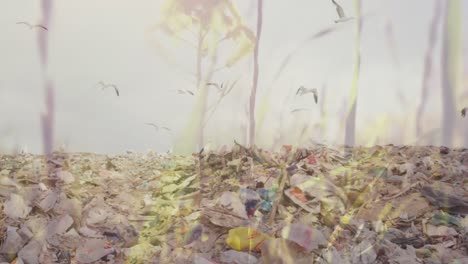 Animation-Von-Gras,-Das-Sich-über-Die-Mülldeponie-Bewegt