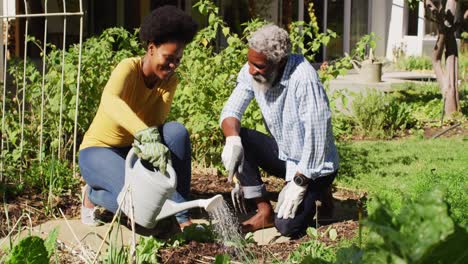Glückliches-Afroamerikanisches-Paar,-Das-Im-Sonnigen-Garten-Kniet-Und-Pflanzen-Gießt