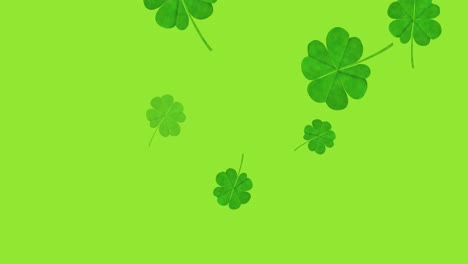 Animation-of-multiple-clover-leaves-falling-on-green-background