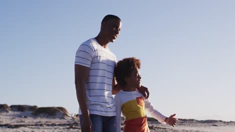 Afroamerikanischer-Vater-Und-Sohn-Genießen-Die-Aussicht,-Während-Sie-Am-Strand-Stehen