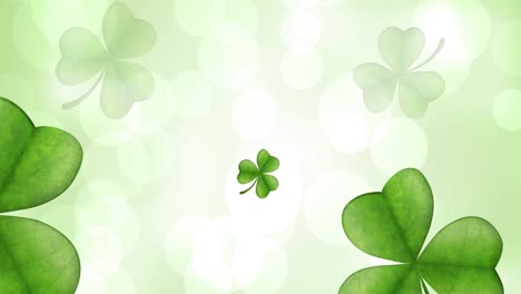 Animation-of-clover-leaves-falling-over-white-spot-lights-on-green-background