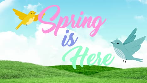 Animation-of-spring-is-here-text-with-two-flying-birds-over-spring-grass-and-blue-sky-in-background