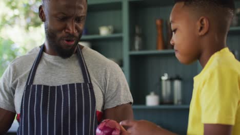 African-american-father-and-son-in-kitchen-wearing-aprons-and-preparing-dinner-together