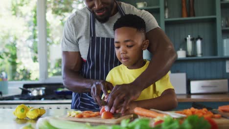 Afroamerikanischer-Vater-Und-Sohn-In-Der-Küche,-Tragen-Schürzen-Und-Bereiten-Gemeinsam-Das-Abendessen-Zu