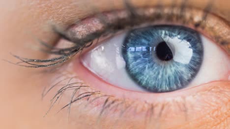 Nahaufnahme-Eines-Weiblichen-Blauen-Auges-Vor-Weißem-Hintergrund