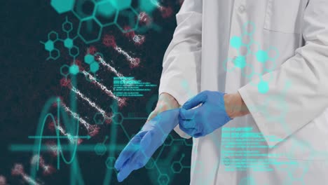 Animation-Des-DNA-Strangs-Und-Der-Medizinischen-Datenverarbeitung-über-Einem-Männlichen-Arzt,-Der-Handschuhe-Anzieht