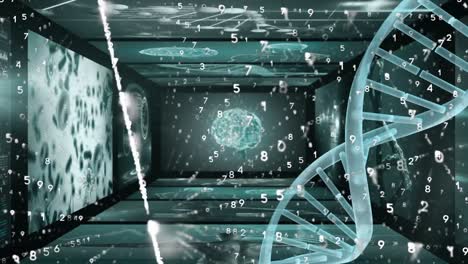 Digital-animation-of-dna-structure-spinning-over-screens-on-medical-data-processing
